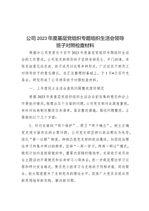 2023年主题教育专题组织生活会领导班子对照检查材料（公司）（基层党组织）.docx