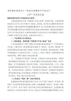 2024国网公司检查汇报材料.docx