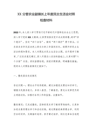 XX分管农业副镇长上年度民主生活会对照检查材料【 】.docx