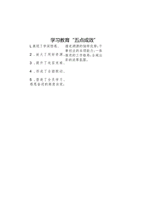 公文写作：学习教育“五点成效”.docx