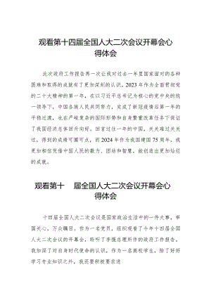 关于观看第十四届全国人大二次会议开幕会的心得体会三十篇.docx