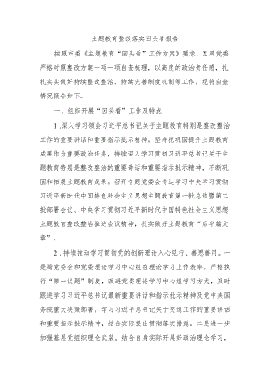 主题教育整改落实回头看报告.docx
