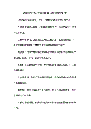 湖南物业公司大厦物业副总经理岗位职责.docx