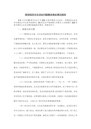 局党组民主生活会问题整改落实情况报告.docx
