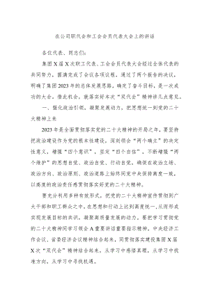 在公司职代会和工会会员代表大会上的讲话.docx