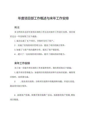 年度项目部工作概述与来年工作安排.docx
