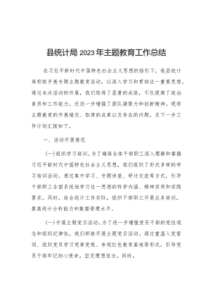 第二批主题教育工作总结（统计局）.docx