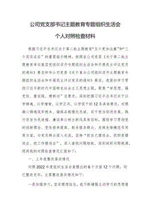 2023年主题教育专题组织生活会个人对照检查材料（公司党支部书记）.docx