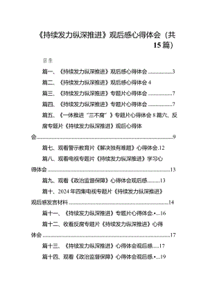 《持续发力纵深推进》观后感心得体会(精选15篇).docx