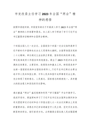 市发改委主任学习2023年全国“两会”精神的感悟..docx