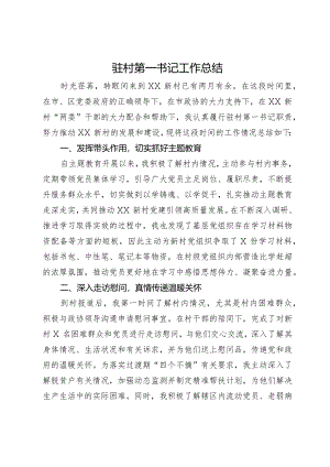驻村第一书记工作总结.docx