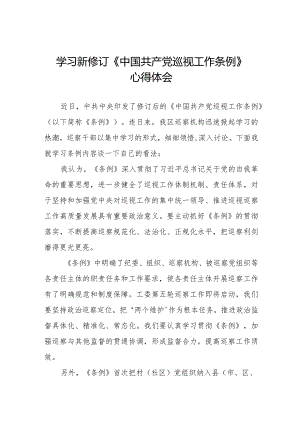 乡镇干部学习2024新修订《中国共产党巡视工作条例》心得体会(五篇).docx