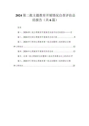 第二批专题开展情况自查评估总结报告六篇(最新精选).docx