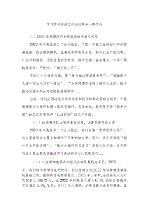 学习贯彻经济工作会议精神心得体会.docx