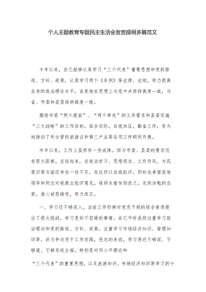 个人主题教育专题民主生活会发言提纲多篇范文.docx