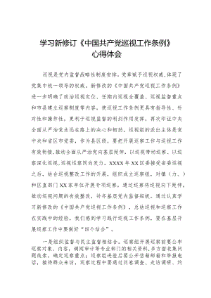 学习新修订中国共产党巡视工作条例(2024版)心得体会(五篇).docx
