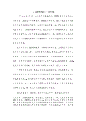 《飞跃帕米尔》读后感.docx