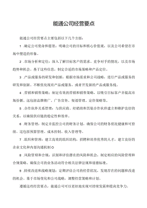 能通公司经营要点.docx