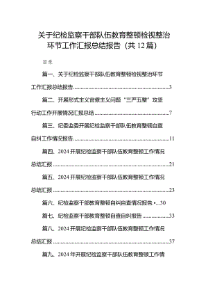 （12篇）关于纪检监察干部队伍教育整顿检视整治环节工作汇报总结报告汇编.docx
