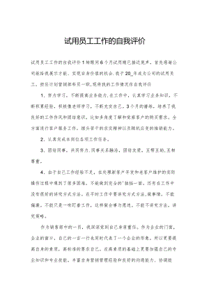 试用员工工作的自我评价.docx