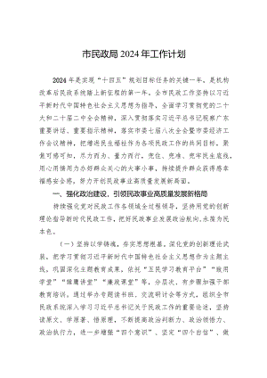 市民政局2024年工作计划(20240228).docx