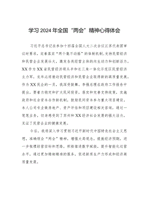 学习2024两会精神心得体会交流发言稿二十篇.docx
