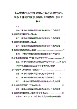 铸牢中华民族共同体意识,推进新时代党的民族工作高质量发展学习心得体会13篇(最新精选).docx