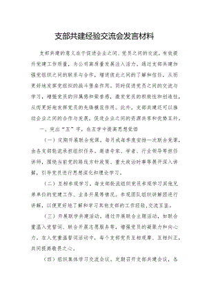 研讨发言：支部共建经验交流材料.docx