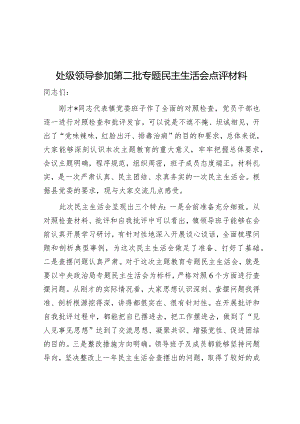 点评讲话：处级领导参加第二批主题教育专题民主生活会.docx