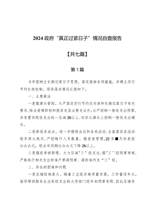 2024政府“真正过紧日子”情况自查报告七篇.docx