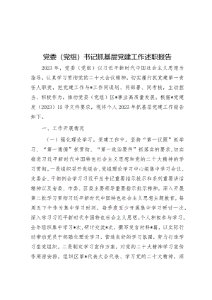 2023年度抓基层党建工作述职报告（党委党组书记）.docx