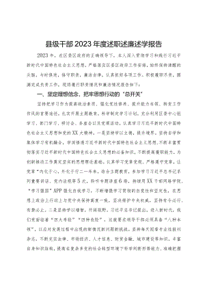 县级干部2023年度述职述廉述学报告.docx
