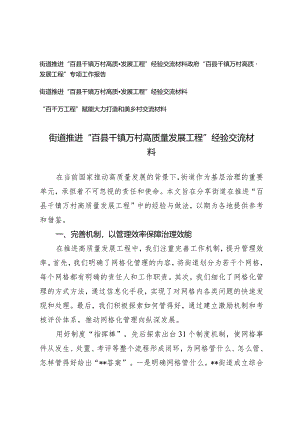 (4篇）政府“百县千镇万村高质量发展工程”专项工作报告推进“百县千镇万村高质量发展工程”经验交流材料.docx
