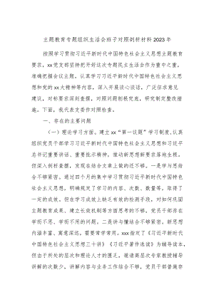 主题教育专题组织生活会班子对照剖析材料2023年.docx