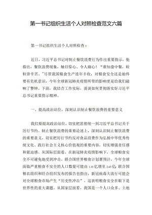 第一书记组织生活个人对照检查范文六篇.docx