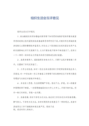 组织生活会互评意见.docx