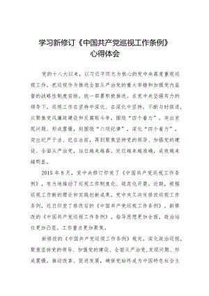 关于2024年新修订《中国共产党巡视工作条例》的心得体会(五篇).docx