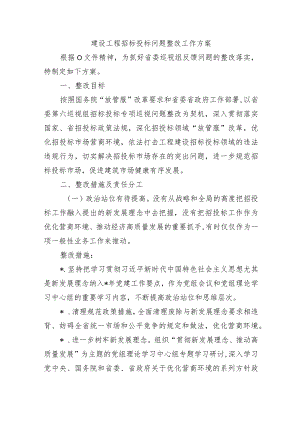 建设工程招标投标问题整改工作方案.docx