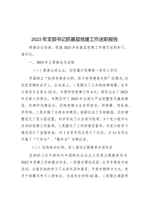2023年度抓基层党建工作述职报告（支部书记）.docx