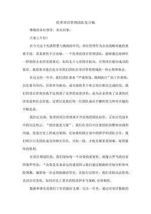 优秀项目管理团队发言稿.docx