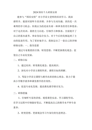 2024国培个人研修计划.docx