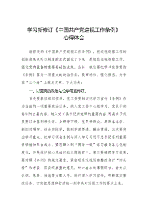 街道社区干部学习2024新修订《中国共产党巡视工作条例》的心得体会(五篇).docx