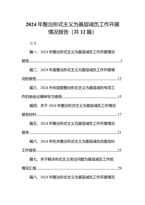 2024年整治形式主义为基层减负工作开展情况报告12篇（详细版）.docx