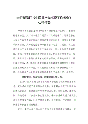 学习新修订《中国共产党巡视工作条例》心得体会交流发言(五篇).docx