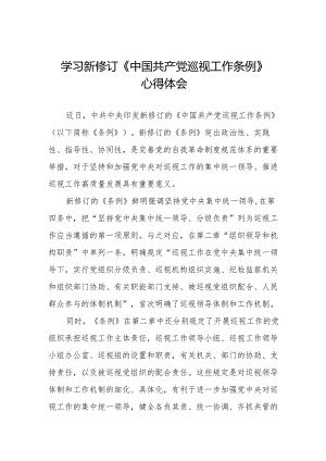 纪检巡察干部学习2024版新修订中国共产党巡视工作条例的心得体会(五篇).docx