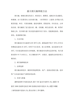 露天朝天椒种植方法.docx