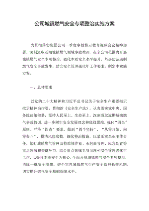 公司城镇燃气安全专项整治实施方案.docx
