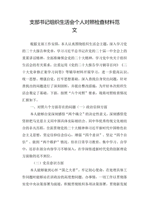 支部书记组织生活会个人对照检查材料范文.docx