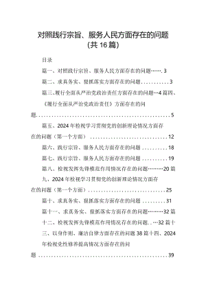 对照践行宗旨、服务人民方面存在的问题16篇完整版.docx