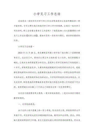小学见习工作总结.docx